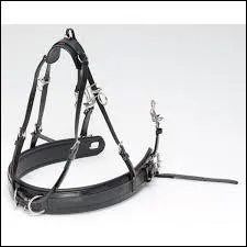 C'est quoi la partie la plus haute ?