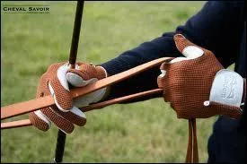 Comment s'appelle les  rnes  qui servent  guider le cheval ?