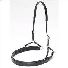 C'est quoi la partie la plus basse ?