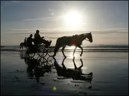 Peut-on passer des galops d'attelage ?