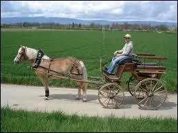 Comment s'appelle celui qui guide le ou les chevaux ?