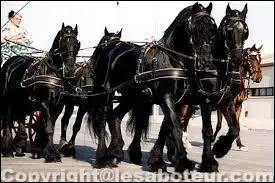 Dans une voiture (attelage), existe-t-il un frein ?