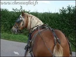 Comment fait-on pour tourner ?