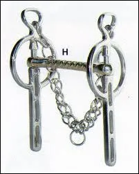 Comment se nomme la partie de la bride qui se met  l'intrieur de la bouche du cheval ?