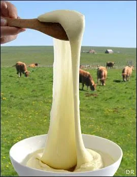 Mon premier marque la surprise.
Si le lingot perd une lettre, il devient mon second.
Mon tout est une spécialité rurale originaire de l'Aubrac.