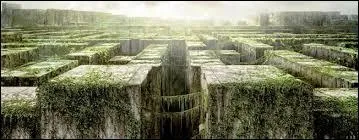 Arrive-t-il à sortir du labyrinthe