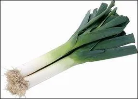 Comment s'appelle ce légume ?