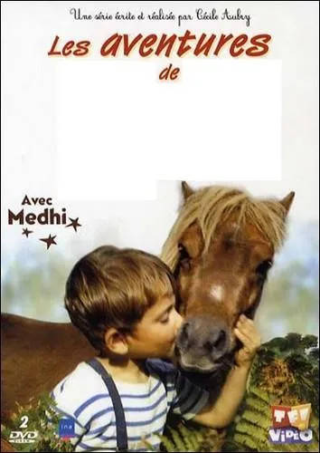 Les aventures de ce personnage très populaire dans les années 60 et au début des années 70 furent l'objet de pas moins de 9 feuilletons télévisés dont le premier fut diffusé à partir de décembre 1961. Il s'agit des aventures de  :
