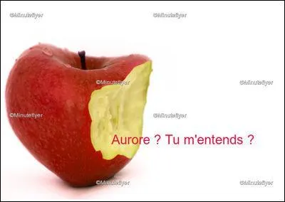 Sixième information. Une princesse adore les fruits. Citons la belle ... qui, pour avoir croqué dans une pomme, s'empoisonnera.