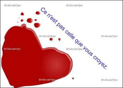 Septième information. Une princesse ne sait pas mettre ses chaussures. Quelle demoiselle passe son temps à perdre sa pantoufle ?