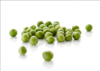 Ce légume vert est...