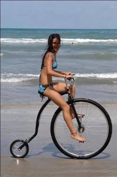 Dans les années 1870, un anglais nommé James Starley a amélioré le concept du vélocipède. Il a allégé la machine, et l'a muni d'une très grande roue à l'avant, ce qui permettait d'atteindre de plus grandes vitesses. Mais comment s'appelait cet engin ?