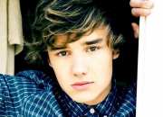 Quiz One Direction : Liam