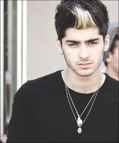 Qui lui avait fait sa mèche blonde ?