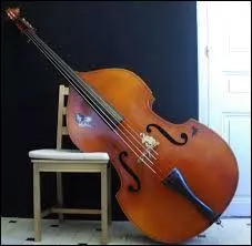 Voici l'instrument le plus grave de la catégorie des cordes frottées, c'est...