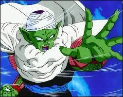 Comment s'appelle ce personnage du manga "Dragon Ball Z " ?