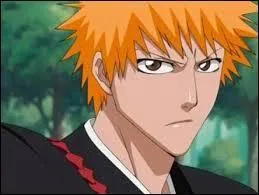 Comment s'appelle ce personage du manga "Bleach" ?