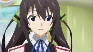 Comment s'appelle ce personnage du manga "Infinite Stratos" ?