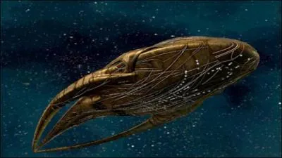 Ce vaisseau est vivant et a donné naissance à un vaisseau nommé Talyn, comment s'appelle ce vaisseau ?