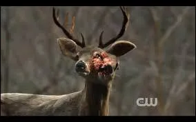 Dans quelle épisode le voit-on ?