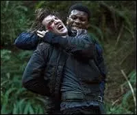 Pourquoi se battent-ils ?