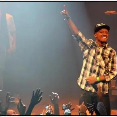 De qui est-il toujours accompagné durant ses concerts ?