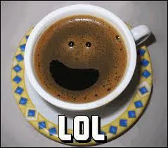 Il y a les blagues sur les brunes, mais les plus connues sont sur les :