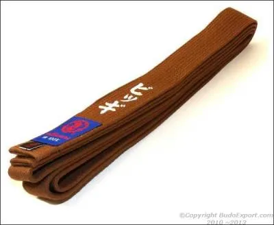 Au judo, quel âge faut-il avoir au minimum pour avoir une ceinture de couleur marron ?