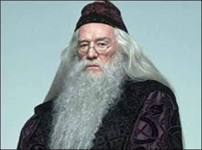 Comment s'appelle le directeur de Poudlard ?