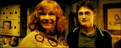 De quelle couleur est la robe de soirée que Mme Weasley a offerte à Harry ?