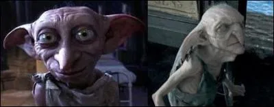 Qui est le responsable de la S.A.L.E pour les Elfes ?