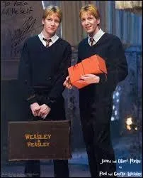 Quelle invention faite par eux-mêmes, les jumeaux Weasley ont'ils fait manger à Dudley ?