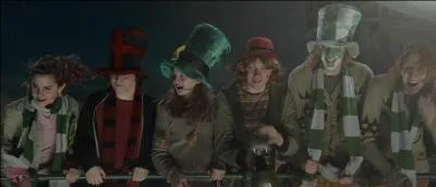 Comment s'appelle l'elfe que rencontre Harry lors de la Coupe du Monde de Quidditch ?