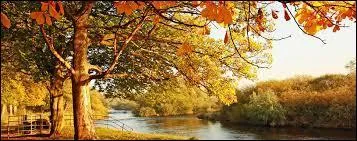 Dans le calendrier romain, quelle était la place de ce mois dans l'année ?