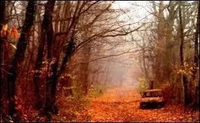 Sous quel signe les enfants du début du mois de novembre sont-ils nés ?