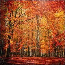 Quand la Toussaint a-t-elle lieu ?