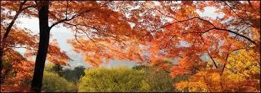 Datez la fête des morts.