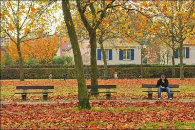 Quelle est la nationalité de la fête se déroulant le 5 novembre ?