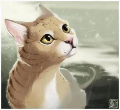 Quel est le nom de l'apprenti ?