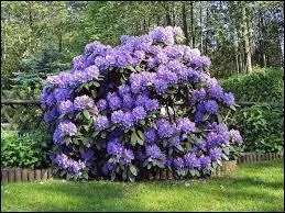 Ne partez pas encore ! J'ai une dernière question : connaissez-vous la bonne écriture du mot parmi ces trois propositions ?