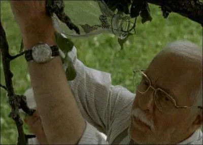 Dans le film "Une hirondelle a fait le printemps", quel est le métier de Michel Serrault ?