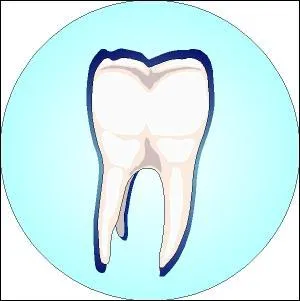 Le mot commence par Bar :