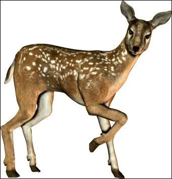 Le mot commence par Bar :