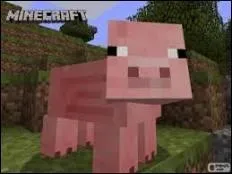 Avec quels objets peut-on monter sur un cochon et le diriger ?