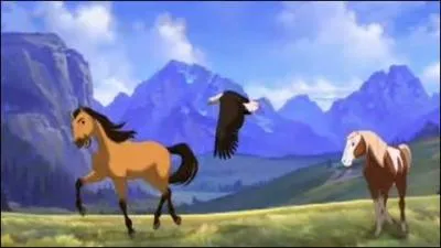 Quel est le nom du chanteur ?