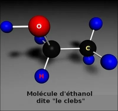 Santé > De par sa teneur en alcool, le vin est le seul psychotrope en vente libre au monde. Vrai ou faux ?
