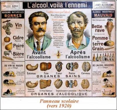 Santé 2 > Logiquement, puisque l'alcool peut se répandre partout dans l'organisme, peut-il favoriser n'importe quel type de cancer ?