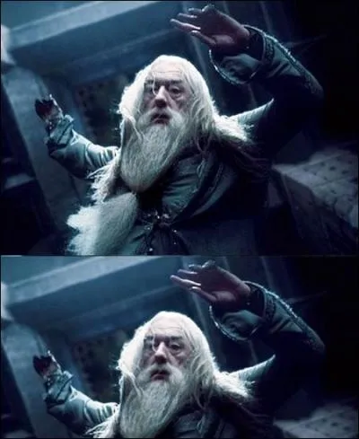 Dans quel tome Sirius Black meurt-il ?