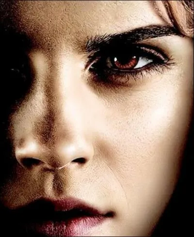 Qui s'entend bien avec Harry ?