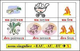 Quelle est la bonne réponse ?